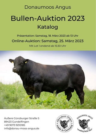 Angus Bulls Catalogue.pdf