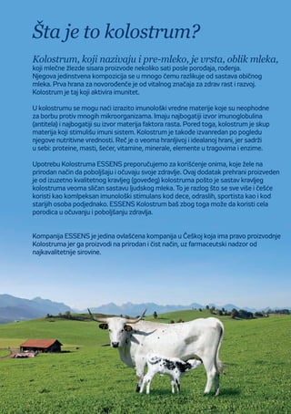 Co je colostrum?
Colostrum, česky mlezivo, je první mléko produkované savci několik
hodin poporodu. Má jedinečné složení, které se liší odsložení běžného mléka. Tato
první potrava je velmi důležitá pro zdravý vývoj arůst aje přirozeným prostředkem
pro nastartování imunitního systému nově narozeného jedince.
Colostrum je cenné pro svůj vysoký obsah imunitních složek nezbytných pro přežití
vesvětě plném mikroorganismů. Je nejbohatším zdrojem imunoglobulinů (protilátek)
arůstových faktorů. Vcolostru lze dále nalézt celou řadu prospěšných látek, které
stimulují činnost imunitního systému. Colostrum je zajímavé izvýživového hlediska.
Jde opotravinu skomplexním výživovým profilem, která obsahuje ideální složení
bílkovin, tuků, cukrů, vitaminů, minerálů aenzymů.
Colostrum ESSENS je vhodné pro všechny, kteří chtějí podporovat své zdraví
přirozeným způsobem. Jedná se opotravinový doplněk vyrobený zkravského
(bovinního) colostra nejvyšší kvality. Bovinní colostrum je svým složením velmi
podobné colostru lidskému. Proto je stále častěji využíváno jako komplexní přírodní
látka napodporu imunity udětí, dospělých, sportovců iseniorů. Colostrum ESSENS
by měla pravidelně užívat celá rodina pro posílení svého zdraví.
ESSENS vám přináší colostrum odjediného certifikovaného českého výrobce,
vyrobené načistě přírodní bázi, ztěch nejkvalitnějších českých surovin apod
farmaceutickým dohledem.
Šta je to kolostrum?
Kolostrum, koji nazivaju i pre-mleko, je vrsta, oblik mleka,
koji mlečne žlezde sisara proizvode nekoliko sati posle porođaja, rođenja.
Njegova jedinstvena kompozicija se u mnogo čemu razlikuje od sastava običnog
mleka. Prva hrana za novorođenče je od vitalnog značaja za zdrav rast i razvoj.
Kolostrum je taj koji aktivira imunitet.
U kolostrumu se mogu naći izrazito imunološki vredne materije koje su neophodne
za borbu protiv mnogih mikroorganizama. Imaju najbogatiji izvor imunoglobulina
(antitela) i najbogatiji su izvor materija faktora rasta. Pored toga, kolostrum je skup
materija koji stimulišu imuni sistem. Kolostrum je takođe izvanredan po pogledu
njegove nutritivne vrednosti. Reč je o veoma hranljivoj i idealanoj hrani, jer sadrži
u sebi: proteine, masti, šećer, vitamine, minerale, elemente u tragovima i enzime.
Upotrebu Kolostruma ESSENS preporučujemo za korišćenje onima, koje žele na
prirodan način da poboljšaju i očuvaju svoje zdravlje. Ovaj dodatak prehrani proizveden
je od izuzetno kvalitetnog kravljeg (goveđeg) kolostruma pošto je sastav kravljeg
kolostruma veoma sličan sastavu ljudskog mleka. To je razlog što se sve više i češće
koristi kao komlpeksan imunološki stimulans kod dece, odraslih, sportista kao i kod
starijih osoba podjednako. ESSENS Kolostrum baš zbog toga može da koristi cela
porodica u očuvanju i poboljšanju zdravlja.
Kompanija ESSENS je jedina ovlašćena kompanija u Češkoj koja ima pravo proizvodnje
Kolostruma jer ga proizvodi na prirodan i čist način, uz farmaceutski nadzor od
najkavalitetnije sirovine.
 