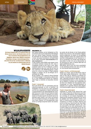 afrika

Freiwilligenarbeit

SÜDAFRIKA

Wildlife-Schutz

Bei diesen Projekten geht es im wahrsten Sinne des
Wortes tierisch wild zu. Als Volontär bieten sich Dir
viele verschiedene Einsatzmöglichkeiten und
Tätigkeiten. Spuren lesen, Wildtiere beobachten,
Löwenbabys versorgen, Instandhaltungsarbeiten –
setze Dich für den Tier- und Naturschutz in Südafrika
ein und entdecke ein faszinierendes Land als
Wildlife-Volontär!

Projekte 1-4

Nach eigenem Belieben und der Verfügbarkeit von Plätzen kannst Du Dich auf ein Projekt Deiner Wahl festlegen
oder auch mehrere Projekte miteinander kombinieren.
Wir beschreiben Dir die Projekte auf dieser Doppelseite
in Kürze, viele weitere Informationen und Details findest
Du auf unserer Internetseite www.travelworks.at bzw.
www. travelworks.ch.
In allen Projekten werden Mithilfe sowie eigenes Lernen
und Erfahren kombiniert. Erwarte bitte nicht, immer in
unmittelbarem Kontakt mit den Tieren zu sein. Selbstverständlich stehen die Tiere im Mittelpunkt, zu Deinem
Aufenthalt gehört es aber auch, mehr über die Tiere und
ihren Lebensraum, über Wildlife-Management, Umweltschutz etc. zu lernen und andere im Projekt anfallende
Aufgaben zu erledigen, wie z.B. das Reinigen und Instandhalten der Gehege.
Bei den Projekten 1 und 2 startest Du Deinen Aufenthalt
mit Orientierungstagen in Johannesburg, während derer
Du u.a. über südafrikanische Bräuche und Traditionen
sowie Fragen zu Sicherheit und Gesundheit informiert
wirst.
Projekt 1: Löwenprojekt
Rund zwei Stunden Fahrt von Johannesburg liegt das
Löwenforschungsprojekt mit 260 ha Buschland. Die
Großwildfarm ist auf die Zucht von Löwen spezialisiert
und führt eine Langzeitstudie im Bereich Genforschung
in Zusammenarbeit mit der Veterinärsfakultät der Universität Pretoria durch. Zudem dient das Projekt als Umweltbildungszentrum und wird u.a. besonders oft von Schulklassen und Touristen besucht. Als Volontär hast Du hier
besonders engen Kontakt zu den Tieren und kümmerst
Dich um ihre tägliche Versorgung: Für die älteren Löwen
muss Fleisch präpariert und zurechtgeschnitten sowie
danach zum Gehege transportiert werden. Die Löwenba-

54 | TravelWorks

bys werden alle drei Stunden mit der Flasche gefüttert.
Darüber hinaus wirst Du in viele verschiedene Tätigkeitsbereiche eingebunden. Du reinigst z.B. die weitläufigen
Gehege, überwachst kranke Tiere, reparierst Zäune und
setzt Dich im Bildungsbereich für den Tierschutz ein, indem Du Schulkindern und Touristen alles Wichtige darüber erklärst. Du hilfst i.d.R. auch am Wochenende, da
die Versorgung der Löwen an oberster Stelle steht und
täglich gewährleistet sein muss.
Bitte beachte, dass Du Dich nicht immer ausschließlich
um die Löwenbabys kümmern wirst, denn auch die älteren Tiere brauchen Deine Aufmerksamkeit.
Projekt 2: Nashorn- und Elefantenprojekt
Nördlich von Limpopo, nahe der Stadt Musina, liegt ein
16.500 Hektar großes Wildtierreservat – Dein Arbeitsplatz! Im Team hilfst Du, Nashörner und Elefanten aufzuspüren, zu beobachten und ihr Verhalten zu dokumentieren. Gleichzeitig erkundest Du dabei die Landschaft.
Eure Arbeitsergebnisse dienen u.a. dazu, die grauen Riesen vor Wilderern zu schützen, die es insbesondere auf
die Hörner bzw. Stoßzähne der Tiere abgesehen haben.
Umsiedlungen von Tieren, Instandhaltungsarbeiten an
Gebäuden und im gesamten Reservat sowie gelegentliche Assistenzaufgaben ergänzen Dein Arbeitsspektrum.
Projekt 3: Krüger Nationalpark
Angesiedelt im „Greater Kruger National Park“ dreht
sich in diesem Projekt alles um Naturschutz sowie Wildlife- und Reservatmanagement. Deine Aufgaben bestehen vormittags z.B. aus kleineren Bauprojekten, der
Säuberung des hauseigenen Wasserlochs (hier kannst
Du tagtäglich viele Tiere beobachten), Arbeiten in der
Natur (u.a. Büsche zurückschneiden) oder auch der Instandhaltung von Straßen und Wegen. Bestimmt wirst
auch Du von den sog. „Game Drives“ oder „Bush Walks“
durch den Krüger Nationalpark fasziniert sein, denn
die Artenvielfalt ist hier schier atemberaubend. Unsere Partner zeigen Dir am Nachmittag viel von der Umgebung und vermitteln Dir sowohl praktische als auch
theoretische Kenntnisse zur Arbeit im Busch. Neben der
Arbeit hast Du jede Menge Abwechslung. Von Deiner
Unterkunft, einem Camp am Olifant River, hast Du einen unglaublichen Blick auf vorbeiziehende Elefanten,
Büffel, Giraffen, Impalas und Warzenschweine. Nachts
kannst Du Löwen brüllen und Hyänen heulen hören.

Buchungsformular auf Seite 85 | www.travelworks.at bzw. www.travelworks.ch | Tel. +43-(0)1-817 37 80-10 | E-Mail: afrika@travelworks.at

 