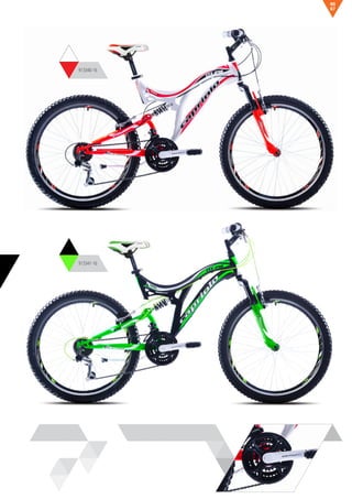 913340-16
913341-16
67
66
 