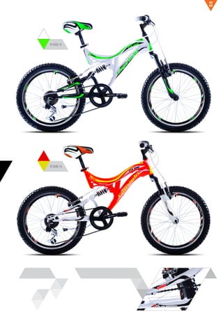 913332-13
913330-13
69
68
 