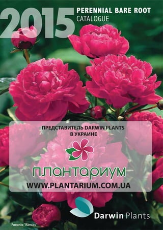DARWIN PLANTS 
  
WWW.PLANTARIUM.COM.UA 
 