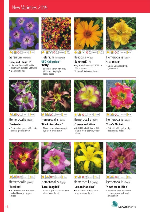 Katalog Darwin Plants 2015