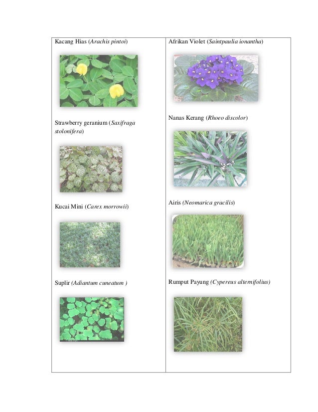 Katalog ihiasi autosaved Katalog ihiasi autosaved