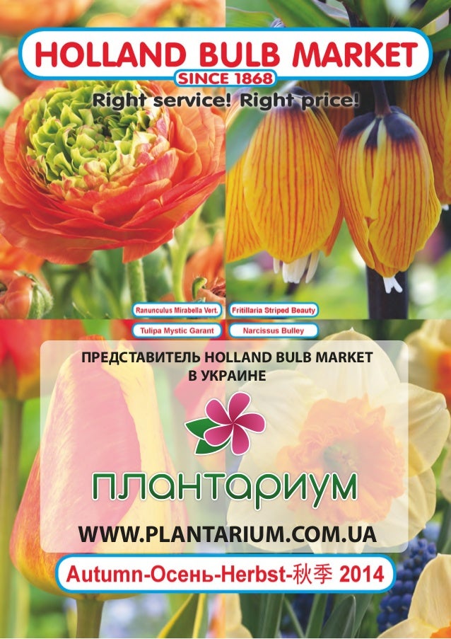 Каталог Holland Bulb Market Осень 2014