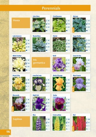 Perennials
16
Hosta
Lupinus
Iris
germanica
Blue
CM 100
I
6-7
Creme yellow
CM 100
I
6-7
Red
CM 100
I
6-7
Batik
CM 70
I
6-7
Crazy ForYou
CM 90
I
6-7
Mary Francis
CM 90
I
6-7
Loop the Loop
CM 90
I
6-7
Night Owl
CM 90
I
6-7
Maid of Orange
CM 80
I
6-7
Senlac
CM 80
I
6-7
Desert Echo
CM 80
I
6-7
Mascarade
CM 80
I
6-7
Fried Bananas
CM 35
2/3
7-8
Patriot
CM 40
2/3
7-8
Lady Guinevre
CM 60
2/3
7-8
White Feather
CM 30
2/3
7-8
Halcyon
CM 30
2/3
7-8
Sugar Daddy
CM 70
2/3
7-8
Moody Blues
CM 40
2/3
7-8
Color Glory
CM 50
2/3
7-8
 