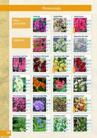Perennials
18
Achillea Summerwine
CM 40
I
6-8
Alstroemeria Orange King
CM 100
I
7-8
Alstroemeria Red Hybrid
CM 50
I
7-8
Centaurea dealbata
CM 60
I
7-8
Alcea Chater’s Dbl. Pink
CM 175
I
7-9
Alcea white
CM 180
I
6-9
Alcea Chater’s Dbl.Yellow
CM 175
I
7-9
Alcea Chater’s Dbl. Purple
CM 175
I
7-9
Alcea Double red
CM 175
I
7-9
Athyrium Filix Femina
CM 30
6/7
6-10
Agapanthus afr. Albus
CM 90
I
7-8
Agapanthus Blue Giant
CM 120
I
7-9
AquilegiaW. Guiness
CM 60
I
5-6
Aquilegia mixed
CM 60
I
5-6
Convallaria majalis
CM 20
I
5-6
Convallaria maj. Rosea
CM 20
I
5-6
Aster dumosus Apollo
CM 30
I
8-10
Aster dumosus Jenny
CM 40
I
9-10
Aster novi-belgii Milka
CM 100
I
8-10
Phlox
paniculata
VARIOUS
Purple Kiss
CM 80
I
7-9
Sherbet Blend
CM 80
I
7-9
Tequilla Sunrise
CM 40
I
7-9
 
