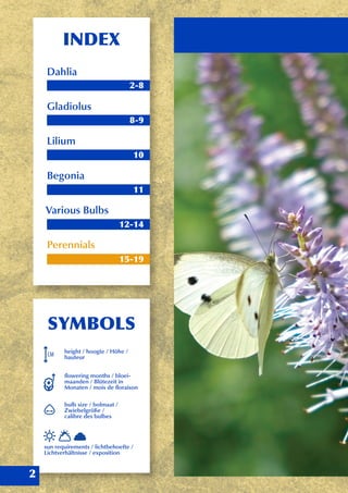 INDEX
Dahlia
Gladiolus
Lilium
Begonia
Various Bulbs
Perennials
2-8
8-9
10
11
12-14
15-19
SYMBOLS
height / hoogte / Höhe /
hauteur
flowering months / bloei-
maanden / Blütezeit in
Monaten / mois de floraison
bulb size / bolmaat /
Zwiebelgröße /
calibre des bulbes
sun requirements / lichtbehoefte /
Lichtverhältnisse / exposition
CM
2
 