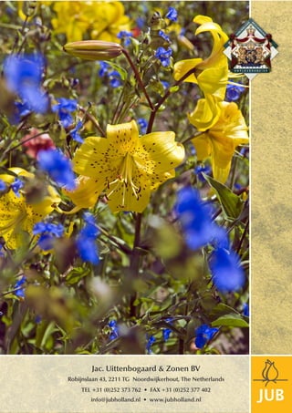 Jac. Uittenbogaard & Zonen BV
Robijnslaan 43, 2211 TG Noordwijkerhout, The Netherlands
info@jubholland.nl • www.jubholland.nl
TEL +31 (0)252 373 762 • FAX +31 (0)252 377 402
 
