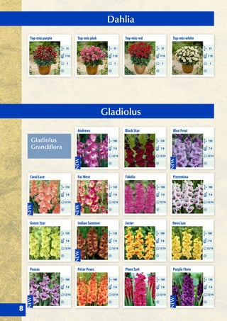 Dahlia
Gladiolus
8
Top-mix pink
CM 35
I
7-10
Top-mix purple
CM 35
I
7-10
Andrews
CM 100
12/14
7-8
FarWest
CM 120
12/14
7-8
Jester
CM 100
12/14
7-8
Indian Summer
CM 120
12/14
7-8
Coral Lace
CM 110
12/14
7-8
Green Star
CM 120
12/14
7-8
PlumTart
CM 100
12/14
7-8
Black Star
CM 120
12/14
7-8
Fiorentina
CM 100
12/14
7-8
Nova Lux
CM 100
12/14
7-8
Blue Frost
CM 130
12/14
7-8
Fidelio
CM 100
12/14
7-8
Peter Pears
CM 100
12/14
7-8
Passos
CM 100
12/14
7-8
Purple Flora
CM 130
12/14
7-8
Top-mix red
CM 35
I
7-10
Top-mix white
CM 35
I
7-10
Gladiolus
Grandiflora
 