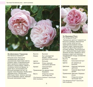 Кустовые Английские розы – светло-розовые

Зэ Веджвуд Роуз

Зе Дженерос Гардэнер

The Generous GardenerTM
Изящная роза с большими
чашевидными цветками и
изысканными лепестками светлорозового цвета. Очаровательный
букет ароматов старинной розы,
мускуса и запаха мирры. Имеет в
основном плетистую форму, но
может быть использована как
большой раскидистый куст на
заднем плане бордюра. Необычайно
здоровая роза с множеством
блестящих темно- зеленых листьев.
Если не обрывать цветки, образует
большие оранжевые плоды.

Высота:
Форма:

Высокая
Куст раскидистой
формы, побеги
дуговидно поникающие
Цветки:
Большие
Цветение:
Очень хорошее
повторное цветение
Аромат:
Сильный букет
ароматов
Применение: На заднем плане
бордюров
Место:
Открытое солнце,
частичная тень
(The Generous GardenerTM David Austin
2002, Ausdrawn).

8

The Wedgwood RoseTM
Прекрасные цветки от среднего до
большого размера. Изысканные
очень тонкие лепестки и их
характерный розовый оттенок
создают шарм старинной розы.
Приятный фруктовый аромат с
нотками гвоздики. Сильнорослый
куст с обильной блестящей темнозеленой листвой. Названа в честь
всемирно известной компании,
производящей посуду, основанной
в 1759 году.
Высота:
Высокая
Форма:
Сильнорослый куст
Цветки:
От средних до
больших
Цветение:
Хорошее повторное
цветение
Аромат:
Средний фруктовый
аромат
Применение: Цветники, бордюры
из роз
Место:
Открытое солнце,
частичная тень
(The Wedgwood RoseTM David Austin
2009, Ausjosiah).

 