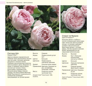 Кустовые Английские розы – светло-розовые

Спирит ов Фридом

Септерд Айл

Scepter’d IsleTM
Цветки в форме очаровательной
глубокой чаши расположены высоко
над листьями, повторяя цветение
регулярно в течение сезона.
Свободно расположенные лепестки
светло-розового цвета, бледнеют по
краям, в середине цветка видны
золотистые тычинки. Очень
выносливая и здоровая роза.
Мощный запах мирры получил
награду The Henry Edland Memorial
Medal Королевского национального
сообщества розоводов,
присуждаемую за лучший аромат.

Высота:
Форма:

Средняя
Прямостоячий кустой
куст
Цветки:
Большие
Цветение:
Превосходное
повторное цветение
Аромат:
Сильный запах мирры
Применение: Цветники, бордюры из
роз, контейнеры,
ландшафт, изгороди
Место:
Открытое солнце,
частичная тень
(Scepter’d IsleTM David Austin 1996,
Ausland).

10

Spirit of FreedomTM
Большие цветки с глубоко и
плотно посаженными лепестками.
Цвет лепестков светло-розовый,
иногда с оттенками сиреневорозового. Восхитительный
фруктовый аромат с нотками
мирры. Листва серовато-зеленая.
Может формироваться как
невысокая плетистая роза.
Высота:
Высокая
Форма:
Куст с большим
количеством
изогнутых побегов
Цветки:
Большие
Цветение:
Хорошее повторное
цветение
Аромат:
Средний аромат,
фруктовый и мирры
Применение: Цветники, бордюры
из роз
Место:
Открытое солнце,
частичная тень
(Spirit of FreedomTM David Austin 2002,
Ausbite).

 