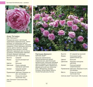 Кустовые Английские pозы – pозовые

Алан Титчмаш

Alan TitchmarshTM
Прекрасная роза с настоящим
характером старинной розы. Темнорозовые густомахровые цветки
постепенно раскрываются, открывая
серединку. Очень красивые загнутые
внутрь цветка лепестки. Аромат
цветков очень мягкий и теплый.
Крепкий и здоровый сорт со слегка
дуговидно поникающими побегами,
которые образуют красивый
раскидистый куст округлой формы.
Высота:
Средняя
Форма:
Густой раскидистый
куст
Цветки:
Большие
Цветение:
Очень хорошее
повторное цветение
Аромат:
Средний аромат
старинных роз
Применение: Цветники, бордюры из
роз, контейнеры
Место:
Открытое солнце,
частичная тень
(Alan TitchmarshTM David Austin 2005,
Ausjive).

Гертруда Джекилл

Gertrude JekyllTM
Сильный, великолепно
сбалансированный аромат
старинных роз: квинтэссенция
аромата розы. Большие красивые
цветки в форме плотной розетки
ярко-розового цвета. Идеальна в
форме куста или как плетистая
роза. Обладатель награды
конкурса James Mason award и
титула Лучшей розы Англии.

Высота:
Форма:

От средней до высокой
Сильнорастущий
прямостоячий куст
Цветки:
Большие
Цветение:
Хорошее повторное
цветение
Аромат:
Сильный аромат
старинной розы
Применение: Цветники, бордюры из роз,
контейнеры
Место:
Открытое солнце,
частичная тень
(Gertrude JekyllTM David Austin 1986, Ausbord).

12

 