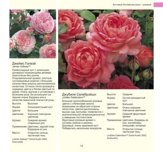 Кустовые Английские pозы – pозовые

Джеймс Голвэй

James GalwayTM
Превосходный куст с длинными,
дуговидно поникающими ветвями,
практически без шипов.
Очаровательный аромат, плотные
густомахровые розетки с большим
количеством искусно расположенных
лепестков. Оттенок тепло-розовый в
середине цветка и более светлый по
краям. Очень крепкая и устойчивая к
болезням роза. Ее используют на
заднем плане бордюра или в
качестве невысокой плетистой розы.
Высота:
Высокая
Форма:
Сильнорастущий куст
Цветки:
Большие
Цветение:
Хорошее повторное
цветение
Аромат:
Средний аромат
старинных роз
Применение: Цветники, задний план
бордюров из роз
Место:
Открытое солнце,
частичная тень
(James GalwayTM David Austin 2000,
Auscrystal).

Джубиле Селебрэйшн

Jubilee CelebrationTM
Большие куполообразные розовые
цветки с отблесками золота,
играющими на обратной стороне
лепестков. Цветки расположены
высоко над листьями, появляются с
исключительной непринужденностью
и завидным постоянством.
Фруктовый розовый аромат с
нотками лимона и малины.
Красивый, очень здоровый куст.
Победитель нескольких конкурсов.

Высота:
Форма:

Средняя
Густой раскидистый
куст
Цветки:
Большие
Цветение:
Очень хорошее
повторное цветение
Аромат:
Средний фруктовый
аромат
Применение: Цветники, бордюры из
роз, контейнеры,
ландшафт, изгороди
Место:
Открытое солнце,
частичная тень

(Jubilee CelebrationTM David Austin 2002,
Aushunter).

13

 