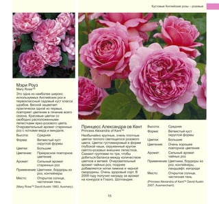 Кустовые Английские pозы – pозовые

Мэри Роуз

Mary RoseTM
Это одна из наиболее широко
используемых Английских роз и
первоклассный садовый куст класса
шрабов. Весной зацветает
практически одной из первых,
повторяет цветение в течение всего
сезона. Красивые цветки со
свободно расположенными
лепестками ярко-розового цвета.
Очаровательный аромат старинных
роз с нотками меда и миндаля.
Высота:
Средняя
Форма:
Ветвистый куст
округлой формы
Цветки:
Большие
Цветение:
Прекрасное повторное
цветение
Аромат:
Сильный аромат
старинных роз
Применение: Цветники, бордюры из
роз, контейнеры
Место:
Открытое солнце,
частичная тень

(Mary RoseTM David Austin 1983, Ausmary).

Принцесс Александра ов Кент

Princess Alexandra of KentTM
Необычайно крупные, очень плотные
цветки теплого светящегося розового
цвета. Цветок густомахровый в форме
глубокой чаши, окруженный кругом
светло-розовых внешних лепестков.
Сажают группами по три, чтобы
добиться баланса между количеством
цветков и ветвей. Очаровательный
аромат чайных роз, позднее
добавляются нотки лимона и черной
смородины. Очень здоровый сорт. В
2009 году получил награду за аромат
на конкурсе в Глазго, Шотландия.
15

Высота:
Форма:

Средняя
Ветвистый куст
округлой формы
Цветки:
Большие
Цветение:
Очень хорошее
повторное цветение
Аромат:
Сильный аромат
чайных роз
Применение: Цветники, бордюры из
роз, контейнеры,
ландшафт, изгороди
Место:
Открытое солнце,
частичная тень

(Princess Alexandra of KentTM David Austin
2007, Ausmerchant).

 