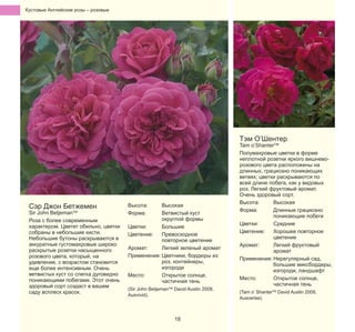 Кустовые Английские pозы – pозовые

Тэм О’Шентер

Сэр Джон Бетжемен

Sir John BetjemanTM
Роза с более современным
характером. Цветет обильно, цветки
собраны в небольшие кисти.
Небольшие бутоны раскрываются в
аккуратные густомахровые широко
раскрытые розетки насыщенного
розового цвета, который, на
удивление, с возрастом становится
еще более интенсивным. Очень
ветвистых куст со слегка дуговидно
поникающими побегами. Этот очень
здоровый сорт создаст в вашем
саду всплеск красок.

Высота:
Форма:

Высокая
Ветвистый куст
округлой формы
Цветки:
Большие
Цветение:
Превосходное
повторное цветение
Аромат:
Легкий зеленый аромат
Применение: Цветники, бордюры из
роз, контейнеры,
изгороди
Место:
Открытое солнце,
частичная тень
(Sir John BetjemanTM David Austin 2008,
Ausvivid).

18

Tam o’ShanterTM
Полумахровые цветки в форме
неплотной розетки яркого вишневорозового цвета расположены на
длинных, грациозно поникающих
ветвях; цветки раскрываются по
всей длине побега, как у видовых
роз. Легкий фруктовый аромат.
Очень здоровый сорт.
Высота:
Высокая
Форма:
Длинные грациозно
поникающие побеги
Цветки:
Средние
Цветение:
Хорошее повторное
цветение
Аромат:
Легкий фруктовый
аромат
Применение: Нерегулярный сад,
большие миксбордеры,
изгороди, ландшафт
Место:
Открытое солнце,
частичная тень
(Tam o’ ShanterTM David Austin 2009,
Auscerise).

 