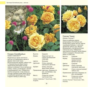 Кустовые Английские розы – желтые

Грэхэм Томас

Голден Селебрэйшн

Golden CelebrationTM
Изумительно яркие золотистожелтые густомахровые цветки в
форме гигантской чаши.
Восхитительный аромат чайных роз
с очаровательным фруктовым
характером благодаря ноткам
лимона, клубники и личи (китайской
сливы). Очень устойчивый и легкий
в выращивании сорт. Победитель
многих конкурсов, в том числе на
лучший садовый шраб (Best Shrub)
и наиболее ароматный сорт (Most
Fragrant Variety) в 2000 году.

Высота:
Форма:

Средняя
Округлый куст со
слегка дуговидными
побегами
Цветки:
Большие
Цветение:
Очень хорошее
повторное цветение
Аромат:
Очень сильный
фруктовый аромат
Применение: Цветники, бордюры из
роз, контейнеры, сад
ароматов
Место:
Открытое солнце,
частичная тень
(Golden CelebrationTM David Austin 1992,
Ausgold).

30

Graham ThomasTM
Одна из наиболее широко
используемых Английских роз.
Необычайно яркие желтые цветки
чашевидной формы с сильным
ароматом чайных роз. Можно
формировать как великолепную
плетистую розу. Победитель
престижного конкурса James Mason
award и конкурса «Лучшая роза
мира» в 2009 году.
Высота:
Средняя
Форма:
Сильнорослый
прямостоячий
ветвистый куст
Цветки:
Средние
Цветение:
Очень хорошее
повторное цветение
Аромат:
Очень сильный аромат
чайных роз
Применение: Цветники, бордюры из
роз, контейнеры
Место:
Открытое солнце,
частичная тень
(Graham ThomasTM David Austin 1983,
Ausmas).

 