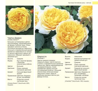 Кустовые Английские розы – желтые

Чарльз Дарвин

Charles DarwinTM
Большие густомахровые цветки
круглой формы, раскрывающиеся
до формы глубокой чаши. Очень
красивого золотого оттенка,
постепенно выгорая до лимонного.
Сильный и очаровательный аромат
меняется в зависимости от погоды
от мягкого цветочного чайного до
лимонного. Образует красивый и
здоровый куст.
Высота:
Средняя
Форма:
Куст округлой формы
с большим
количеством побегов
Цветки:
Большие
Цветение:
Очень хорошее
повторное цветение
Аромат:
Сильный фруктовый
аромат
Применение: Цветники, бордюры
из роз, контейнеры
Место:
Открытое солнце,
частичная тень
(Charles DarwinTM David Austin 2003,
Auspeet).

Шарлотта

CharlotteTM
Цветки среднего размера,
повернуты вверх, светло-желтого
оттенка с очаровательным ароматом
чайных роз. Цветки широкораскрытой
чашевидной формы, позже
приобретает форму плотной
густомахровой розетки с большим
количеством лепестков вокруг
цветочного глазка. Одна из
наиболее красивых желтых роз
Дэвида Остина.

Высота:
Форма:

Невысокая
Компактный ветвистый
прямостоячий куст.
Цветки:
Средние
Цветение:
Очень хорошее
повторное цветение
Аромат:
Средний до сильного
фруктовый аромат
Применение: Цветники, бордюры из
роз, контейнеры,
ландшафт, изгороди
Место:
Открытое солнце,
частичная тень
(CharlotteTM David Austin 1993, Auspoly).

33

 