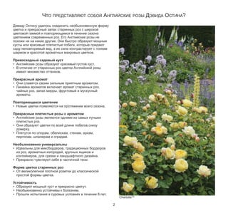 ЧТО ПРЕДСТАВЛЯЮТ СОБОЙ АНГЛИЙСКИЕ РОЗЫ ДЭВИДА ОСТИНА?

Дэвиду Остину удалось соединить необыкновенную форму
цветка и прекрасный запах старинных роз с широкой
цветовой гаммой и повторяющимся в течение сезона
цветением современных роз. Его Английские розы не
похожи ни на какие другие. Они быстро образуют мощные
кусты или красивые плетистые побеги, которые придают
саду неповторимый вид, а их сила контрастирует с тонким
шармом и красотой ароматных махровых цветков.
Превосходный садовый куст
• Английские розы образуют красивый густой куст.
• В отличие от старинных роз цветки Английской розы
имеют множество оттенков.

Прекрасный аромат
• Они славятся своим сильным приятным ароматом.
• Линейка ароматов включает аромат старинных роз,
чайных роз, запах мирры, фруктовый и мускусный
ароматы.

Повторяющееся цветение
• Новые цветки появляются на протяжении всего сезона.

Прекрасные плетистые розы с ароматом
• Английские розы являются одними из самых лучших
плетистых роз.
• Они образуют цветки по всей длине побегов снизу
доверху.
• Плетутся по опорам, обелискам, стенам, аркам,
перголам, шпалерам и оградам.

Необыкновенно универсальны
• Идеальны для миксбордеров, традиционных бордюров
из роз, ароматных изгородей, крупных ящиков и
контейнеров, для срезки и ландшафтного дизайна.
• Прекрасно чувствуют себя в частичной тени.

Форма цветка старинных роз
• От великолепной плотной розетки до классической
простой формы цветка.

Устойчивость
• Образуют мощный куст и прекрасно цветут.
• Необыкновенно устойчивы к болезням.
• Прошли испытания в суровых условиях в течение 8 лет.
2

CharlotteTM

 