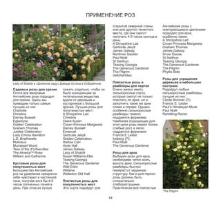 ПРИМЕНЕНИЕ РОЗ

открытой северной стены
или для другого тенистого
места, где они смогут
получать 4-5 часов солнца в
день:
A Shropshire Lad
Gertrude Jekyll
James Galway
Mortimer Sackler
Paul Noël
St Swithun
Teasing Georgia
The Generous Gardener
The Pilgrim
Veilchenblau

Плетистые розы и
рамблеры для пергол
Очень важно иметь
сильнорослые сорта,
которые смогут не только
плестить по арке, но и
заполнять такие же арки
слева и справа. Однако
особенно сильнорослые
рамблеры тяжело
поддаются формовке.
Наиболее подходящие для
этой цели розы имеют более
слабый рост и легко
поддаются формовке:
Francis E Lester
Iceberg (П).
Paul Noël
The Generous Gardener

Lady of Shalott в «Длинном саду» Дэвида Остина в Олбрайтоне

Садовые розы для срезки
Почти все махровые
Английские розы подходят
для срезки. Здесь мы
приводим только самые
лучшие из них:
Charlotte
Christina
Darcey Bussell
Eglantyne
Golden Celebration
Graham Thomas
Jubilee Celebration
Lady Emma Hamilton
L.D. Braithwaite
Molineux
Munstead Wood
Tess of the d’Urbervilles
The AlnwickTM Rose
William and Catherine

Кустовые розы для
полутенистых мест
Большинство Английских
роз на удивление прекрасно
себя чувствуют в частичной
тени, получая хотя бы 4-5
часов солнечных лучей в
день. При этом их лучше

сажать отдельно, чтобы не
было конкуренции за
питательные вещества,
вдали от деревьев и
кустарников с большой
кроной. Лучшие розы для
полутенистых мест:
A Shropshire Lad
Christina
Claire Austin
Crown Princess Margareta
Darcey Bussell
Emanuel
Gertrude Jekyll
Golden Celebration
Harlow Carr
Hyde Hall
James Galway
Lady of Shalott
Susan Williams-Ellis
Teasing Georgia
The Generous Gardener
Wild Edric
Wildeve
Wollerton Old Hall

Розы для арок
Выбирая розы для арок,
необходимо четко знать
высоту арки. Сильнорослые
рамблеры быстро
перерастут заданную
структуру. Как и для пергол,
розы должны быть
относительно
слаборастущими.
Практически все плетистые

Плетистые розы для
полутенистых мест
Эти сорта подойдут для

44

Английские розы с
повторяющимся цветением
подходят для арок,
особенно такие:
A Shropshire Lad
Crown Princess Margareta
Graham Thomas
James Galway
Snow Goose
St Swithun
Teasing Georgia
The Generous Gardener
The Pilgrim
Phyllis Bide
Розы для украшения
деревьев и небольших
построек
Подойдут любые
сильнорослые рамблеры,
лучшие из них:
Cécile Brunner (П)
Francis E. Lester
Paul’s Himalayan Musk
Paul Noël
Rambling Rector

The Pilgrim

 