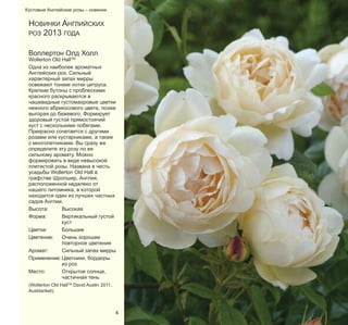 Кустовые Английские розы – новинки

НОВИНКИ AНГЛИЙСКИХ
РОЗ 2013 ГОДА
Воллертон Олд Холл

Wollerton Old HallTM
Одна из наиболее ароматных
Aнглийских роз. Сильный
характерный запах мирры
освежают тонкие нотки цитруса.
Крепкие бутоны с проблесками
красного раскрываются в
чашевидные густомахровые цветки
нежного абрикосового цвета, позже
выгорая до бежевого. Формирует
здоровый густой прямостоячий
куст с несколькими побегами.
Прекрасно сочетается с другими
розами или кустарниками, а также
с многолетниками. Вы сразу же
определите эту розу по ее
сильному аромату. Можно
формировать в виде невысокой
плетистой розы. Названа в честь
усадьбы Wollerton Old Hall в
графстве Шропшир, Англия,
расположенной недалеко от
нашего питомника, в которой
находится один из лучших частных
садов Англии.
Высота:
Высокая
Форма:
Вертикальный густой
куст
Цветки:
Большие
Цветение:
Очень хорошее
повторное цветение
Аромат:
Сильный запах мирры
Применение: Цветники, бордюры
из роз
Место:
Открытое солнце,
частичная тень
(Wollerton Old HallTM David Austin 2011,
Ausblanket).

4

 