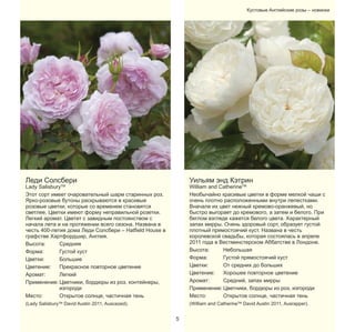 Кустовые Aнглийские розы – новинки

Уильям энд Кэтрин

Леди Солсбери

William and CatherineTM
Необычайно красивые цветки в форме мелкой чаши с
очень плотно расположенными внутри лепестками.
Вначале их цвет нежный кремово-оранжевый, но
быстро выгорает до кремового, а затем и белого. При
беглом взгляде кажется белого цвета. Характерный
запах мирры. Очень здоровый сорт, образует густой
плотный прямостоячий куст. Названа в честь
королевской свадьбы, которая состоялась в апреле
2011 года в Вестминстерском Аббатстве в Лондоне.
Высота:
Небольшая
Форма:
Густой прямостоячий куст
Цветки:
От средних до больших
Цветение:
Хорошее повторное цветение
Аромат:
Средний, запах мирры
Применение: Цветники, бордюры из роз, изгороди
Место:
Открытое солнце, частичная тень

Lady SalisburyTM
Этот сорт имеет очаровательный шарм старинных роз.
Ярко-розовые бутоны раскрываются в красивые
розовые цветки, которые со временем становятся
светлее. Цветки имеют форму неправильной розетки.
Легкий аромат. Цветет с завидным постоянством с
начала лета и на протяжении всего сезона. Названа в
честь 400-летия дома Леди Солсбери – Hatfield House в
графстве Хартфордшир, Англия.
Высота:
Средняя
Форма:
Густой куст
Цветки:
Большие
Цветение:
Прекрасное повторное цветение
Аромат:
Легкий
Применение: Цветники, бордюры из роз, контейнеры,
изгороди
Место:
Открытое солнце, частичная тень

(William and CatherineTM David Austin 2011, Ausrapper).

(Lady SalisburyTM David Austin 2011, Auscezed).

5

 