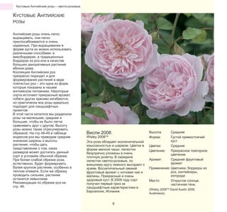 Кустовые Английские розы – светло-розовые

КУСТОВЫЕ АНГЛИЙСКИЕ

PОЗЫ

Английские розы очень легко
выращивать, они легко
приспосабливаются и очень
надежные. При выращивании в
форме куста их можно использовать
различными способами: в
миксбордерах, в традиционных
бордюрах из роз или в качестве
больших декоративных растений
вблизи дома.
Коллекция Английских роз
прекрасно подходит и для
формирования растений в виде
плетистых роз – это одна из форм,
которые показаны в нашем
английском питомнике. Некоторые
сорта источают прекрасный аромат,
побеги других красиво изгибаются,
но практически все розы идеально
подходят для ландшафтных
проектов.
В этой части каталога мы разделили
розы на маленькие, средние и
большие, чтобы их было легче
сравнивать друг с другом. Высоту
розы можно также отрегулировать
обрезкой. На стр 48-49 в таблице
индексов роз мы приводим средние
значения ширины и высоты
растения, чтобы дать
представление о том, каких
размеров может достигать данный
сорт в условиях обычной обрезки.
При более слабой обрезке роза,
естественно, будет формировать
более крупное растение, особенно в
теплом климате. Если же обрезку
проводить сильнее, растение
останется невысоким.
Рекомендации по обрезке роз на
стр. 46.

Висли 2008

Wisley 2008TM
Эта роза обладает исключительной
изысканностью и шармом. Цветки в
форме мелкой чаши, лепестки
безупречно уложены в очень
плотную розетку. В середине
лепестки светло-розовые, по
внешнему кругу немного выгорают к
краям. Восхитительный свежий
фруктовый аромат с нотками чая и
малины. Прекрасный и очень
здоровый куст. В 2009 году сорт
получил первый приз за
ландшафтные характеристики в
Барселоне, Испания.
6

Высота:
Форма:

Средняя
Густой прямостоячий
куст
Цветки:
Средние
Цветение:
Прекрасное повторное
цветение
Аромат:
Средний фруктовый
аромат
Применение: Цветники, бордюры из
роз, контейнеры,
изгороди
Место:
Открытое солнце,
частичная тень
(Wisley 2008TM David Austin 2008,
Ausbreeze).

 