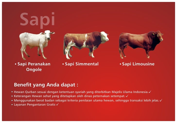 Katalog rumah aqiqah persiapan qurban lebih dini