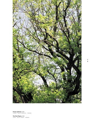 85
•
Flautas spélmañi. 2004
flautas, saules baterijas, turbînas
The Flute Players. 2004
Flutes, solar captors, turbines
 