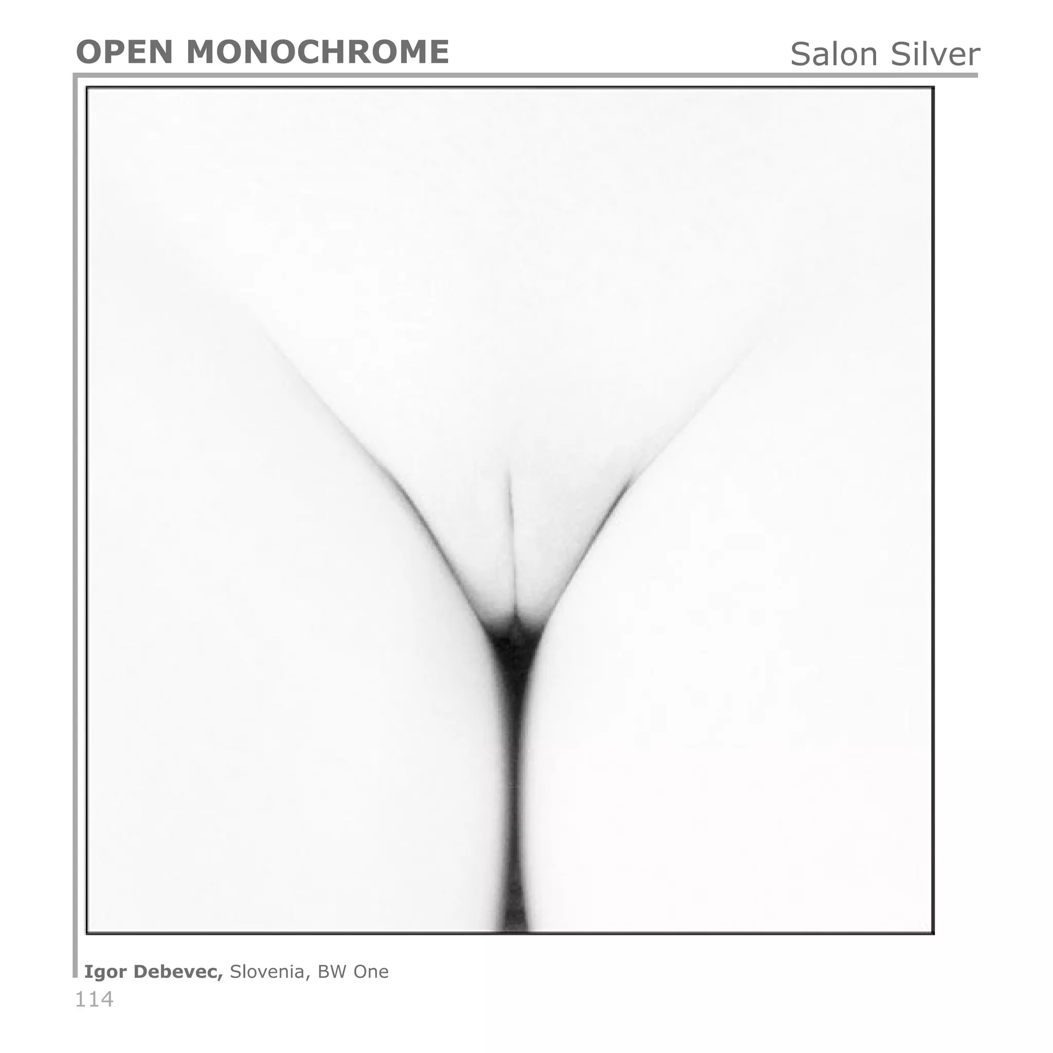 114
OPEN MONOCHROME
Igor Debevec, Slovenia, BW One
Salon Silver
 