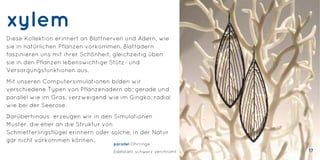 xylem
Diese Kollektion erinnert an Blattnerven und Adern, wie
sie in natürlichen Pflanzen vorkommen. Blattadern
faszinieren uns mit ihrer Schönheit, gleichzeitig üben
sie in den Pflanzen lebenswichtige Stütz- und
Versorgungsfunktionen aus.
Mit unseren Computersimulationen bilden wir
verschiedene Typen von Pflanzenadern ab: gerade und
parallel wie im Gras, verzweigend wie im Gingko, radial
wie bei der Seerose.
Darüberhinaus erzeugen wir in den Simulationen
Muster, die eher an die Struktur von
Schmetterlingsflügel erinnern oder solche, in der Natur
gar nicht vorkommen können.
parallel Ohrringe
Edelstahl, schwarz verchromt 17
 