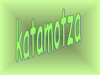 katamotza 