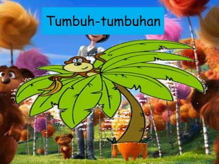 Tumbuh-tumbuhan
 