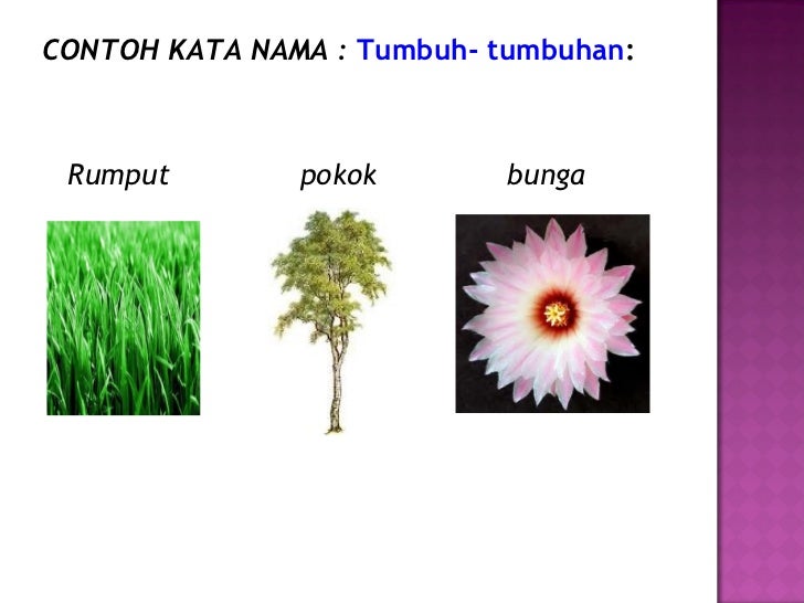 Kata nama am , kata nama khas
