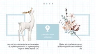 Ang mga hayop ay nabubuhay sa pamamagitan
ng pagkain ng halaman o sa pagkain ng ibang
hayop at lamang-dagat at lupa.
Maging, ang mga halaman ay may
benepisyong nakukuha buhat sa mga
tao.
KATANGIANG PISIKAL
NG DAIGDIG
 