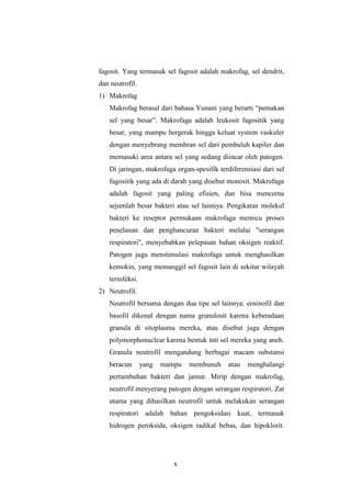 x
fagosit. Yang termasuk sel fagosit adalah makrofag, sel dendrit,
dan neutrofil.
1) Makrofag
Makrofag berasal dari bahasa Yunani yang berarti “pemakan
sel yang besar”. Makrofaga adalah leukosit fagositik yang
besar, yang mampu bergerak hingga keluar system vaskuler
dengan menyebrang membran sel dari pembuluh kapiler dan
memasuki area antara sel yang sedang diincar oleh patogen.
Di jaringan, makrofaga organ-spesifik terdiferensiasi dari sel
fagositik yang ada di darah yang disebut monosit. Makrofaga
adalah fagosit yang paling efisien, dan bisa mencerna
sejumlah besar bakteri atau sel lainnya. Pengikatan molekul
bakteri ke reseptor permukaan makrofaga memicu proses
penelanan dan penghancuran bakteri melalui "serangan
respiratori", menyebabkan pelepasan bahan oksigen reaktif.
Patogen juga menstimulasi makrofaga untuk menghasilkan
kemokin, yang memanggil sel fagosit lain di sekitar wilayah
terinfeksi.
2) Neutrofil.
Neutrofil bersama dengan dua tipe sel lainnya: eosinofil dan
basofil dikenal dengan nama granulosit karena keberadaan
granula di sitoplasma mereka, atau disebut juga dengan
polymorphonuclear karena bentuk inti sel mereka yang aneh.
Granula neutrofil mengandung berbagai macam substansi
beracun yang mampu membunuh atau menghalangi
pertumbuhan bakteri dan jamur. Mirip dengan makrofag,
neutrofil menyerang patogen dengan serangan respiratori. Zat
utama yang dihasilkan neutrofil untuk melakukan serangan
respiratori adalah bahan pengoksidasi kuat, termasuk
hidrogen peroksida, oksigen radikal bebas, dan hipoklorit.
 