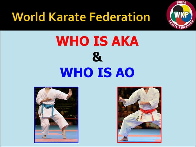 Kata red and blue belts | PDF