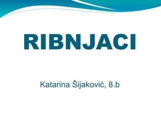 RIBNJACI
 Katarina Šijaković, 8.b
 
