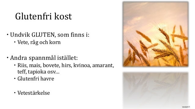 finns det gluten i havre finns det gluten i havre