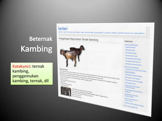 Katakunci: ternak
kambing,
penggemukan
kambing, ternak, dll
 