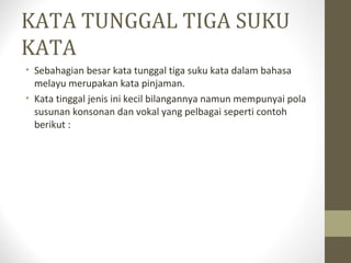 KATA TUNGGAL TIGA SUKU
KATA
• Sebahagian besar kata tunggal tiga suku kata dalam bahasa
melayu merupakan kata pinjaman.
• Kata tinggal jenis ini kecil bilangannya namun mempunyai pola
susunan konsonan dan vokal yang pelbagai seperti contoh
berikut :
 