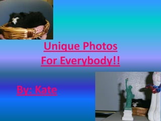 Unique Photos
    For Everybody!!

By: Kate
 