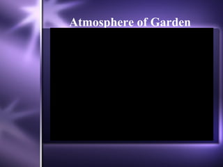 Atmosphere of Garden 