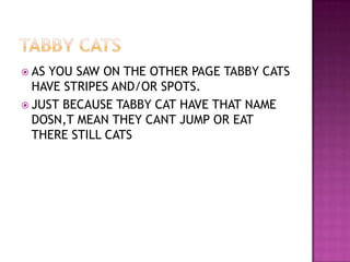  ASYOU SAW ON THE OTHER PAGE TABBY CATS
  HAVE STRIPES AND/OR SPOTS.
 JUST BECAUSE TABBY CAT HAVE THAT NAME
  DOSN,T MEAN THEY CANT JUMP OR EAT
  THERE STILL CATS
 