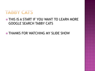  THIS
    IS A START IF YOU WANT TO LEARN MORE
 GOOGLE SEARCH TABBY CATS

 THANKS   FOR WATCHING MY SLIDE SHOW
 