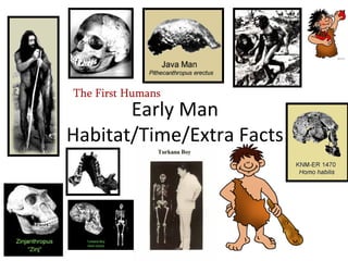 Early Man Habitat/Time/Extra Facts The First Humans 