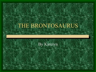 THE BRONTOSAURUS By Katelyn 