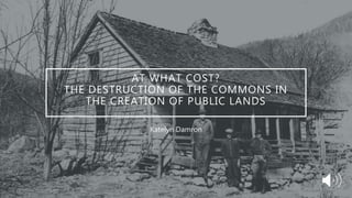 AT WHAT COST?
THE DESTRUCTION OF THE COMMONS IN
THE CREATION OF PUBLIC LANDS
Katelyn Damron
 