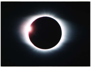 Kate metaphor poem ppt