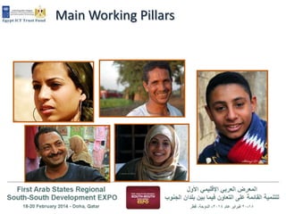 Main Working Pillars

 